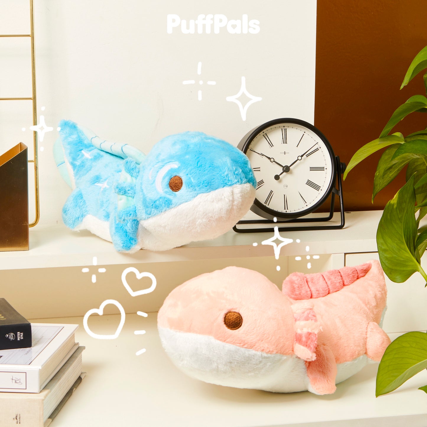 Ray the Night Sky Axolotl LIMITED EDITION PRE-ORDER