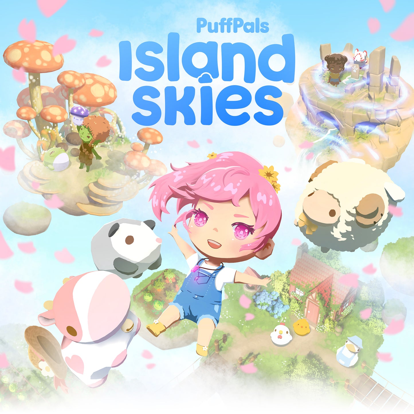 Island Skies Access