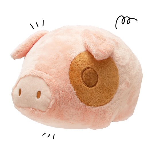 Potato the Pig