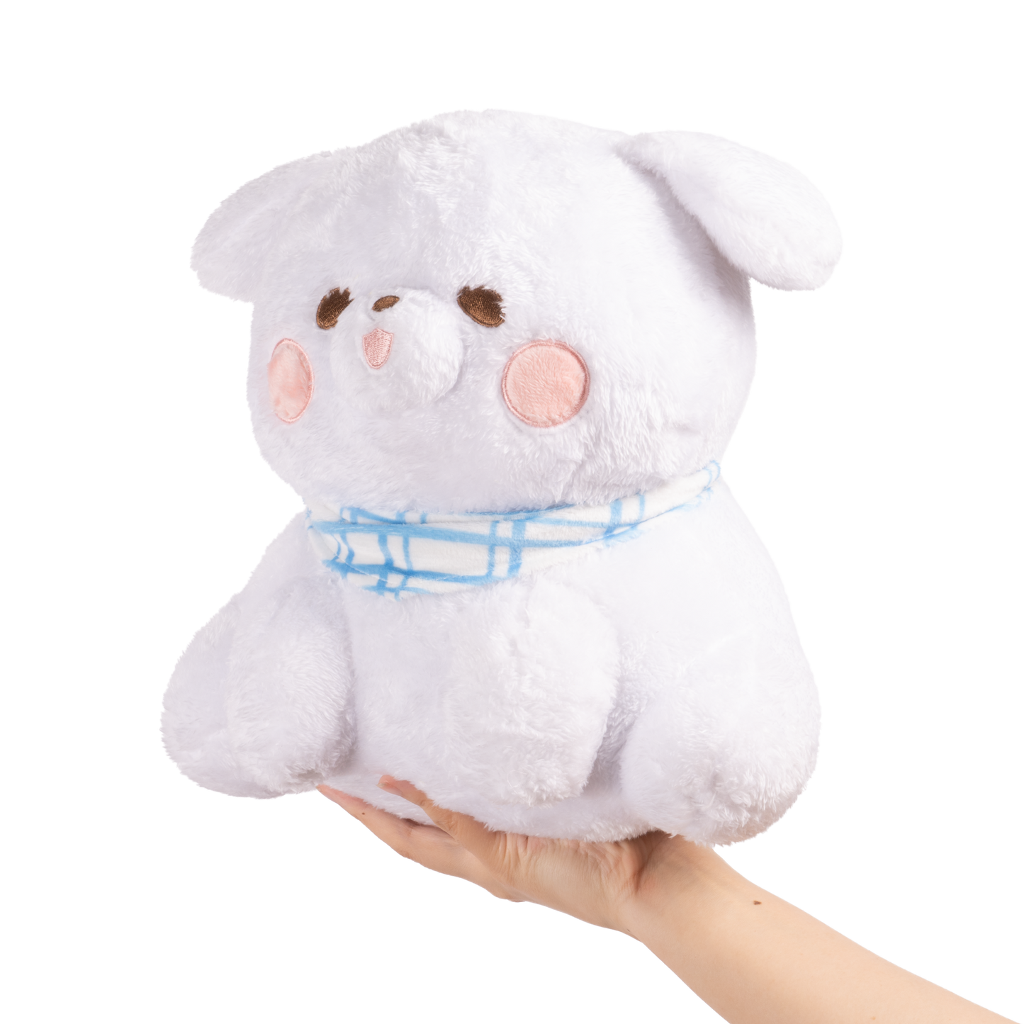 Bon Bon the Bichon PRE-ORDER