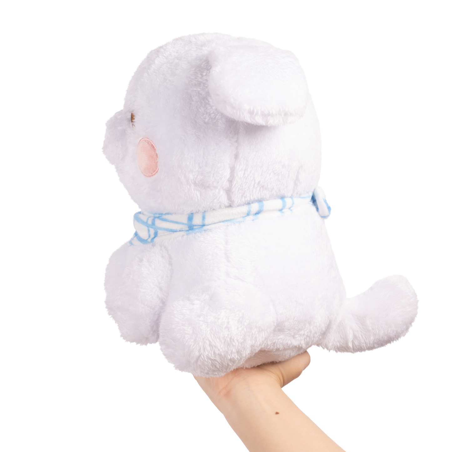 Bon Bon the Bichon PRE-ORDER